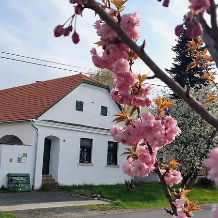 Fuszeres Porta Villa Mihalyfa Bagian luar foto
