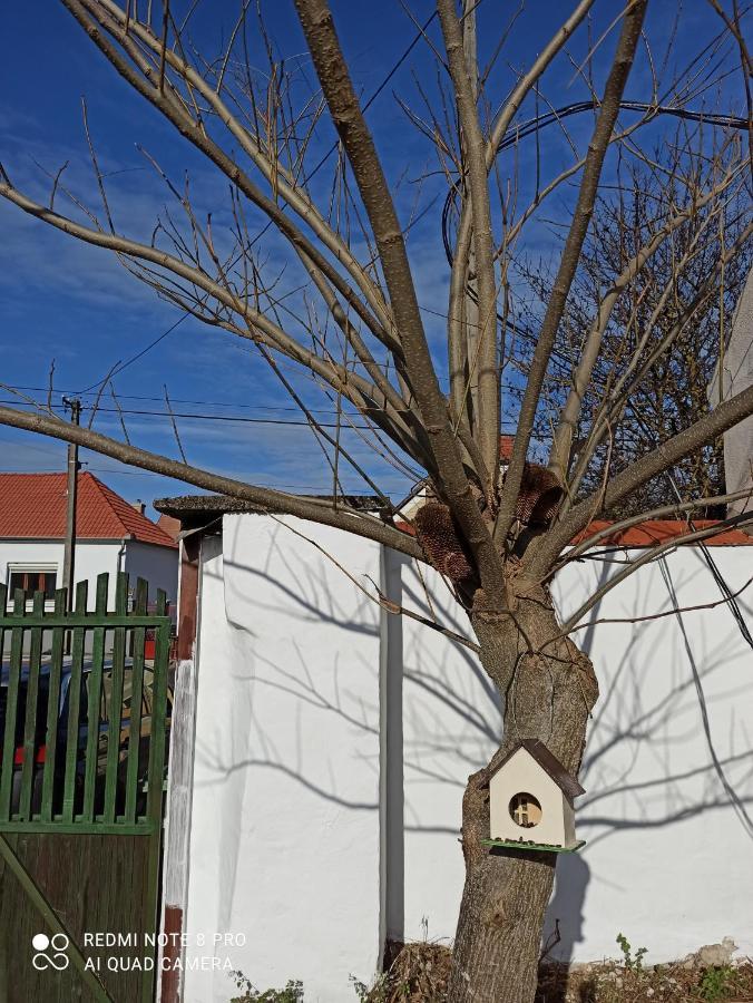 Fuszeres Porta Villa Mihalyfa Bagian luar foto