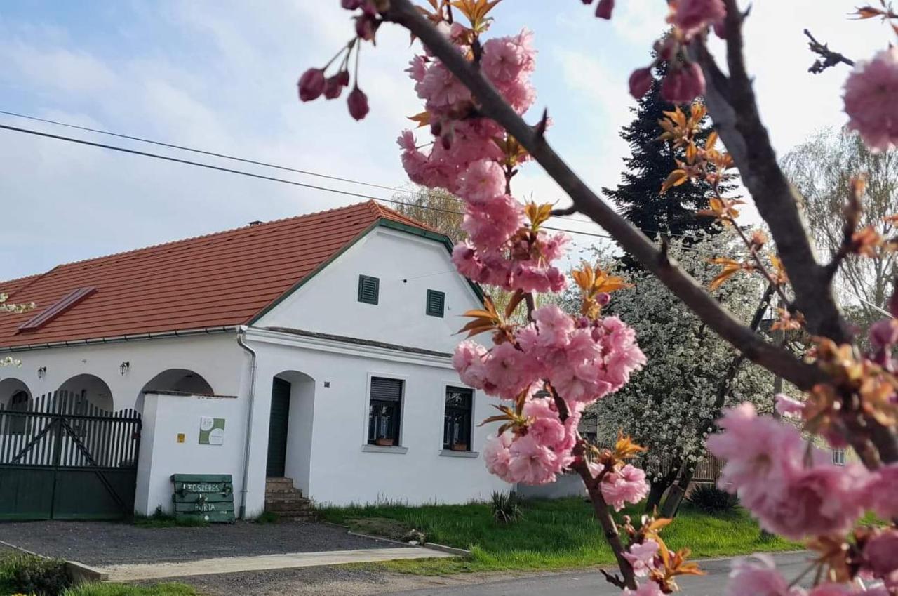 Fuszeres Porta Villa Mihalyfa Bagian luar foto